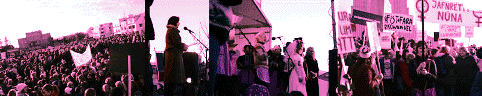 bordi2005